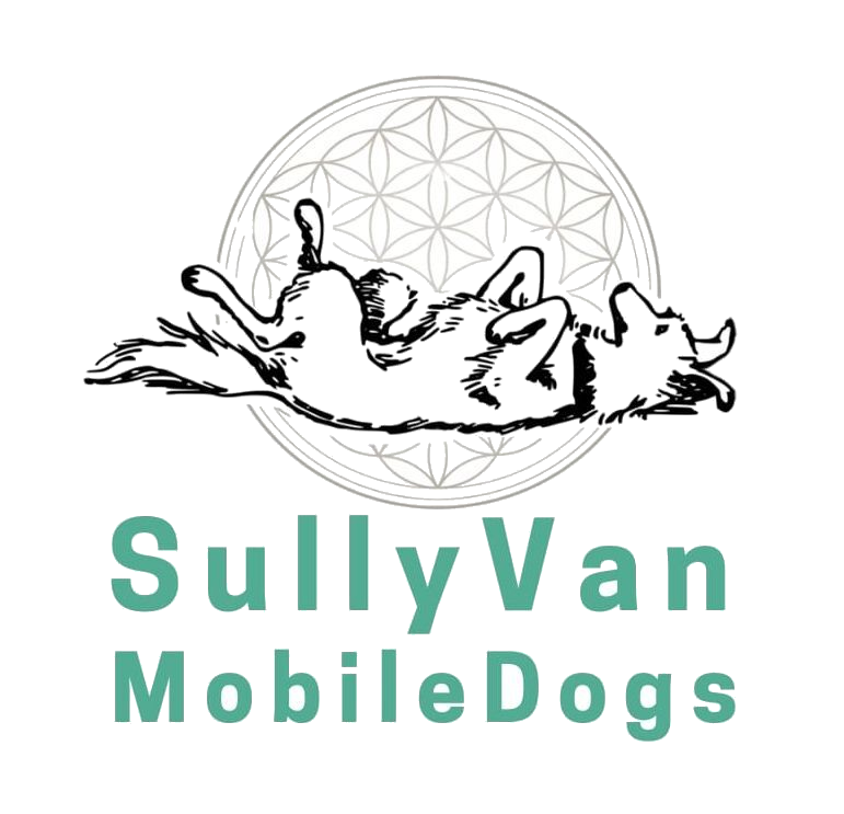 Hundephysiotherapie Sullyvan